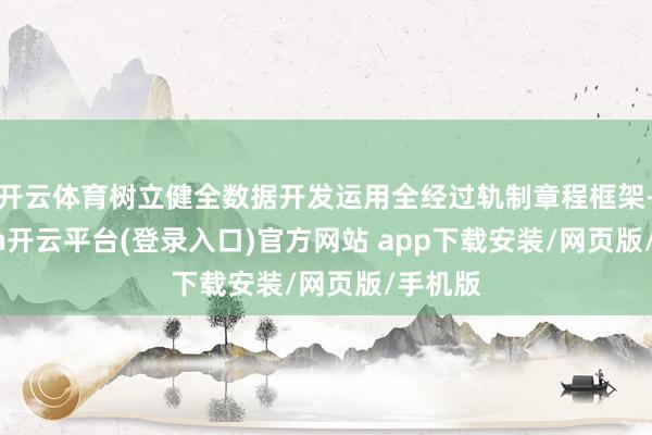 开云体育树立健全数据开发运用全经过轨制章程框架-kaiyun开云平台(登录入口)官方网站 app下载安装/网页版/手机版