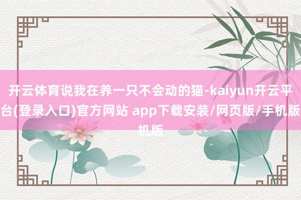 开云体育说我在养一只不会动的猫-kaiyun开云平台(登录入口)官方网站 app下载安装/网页版/手机版