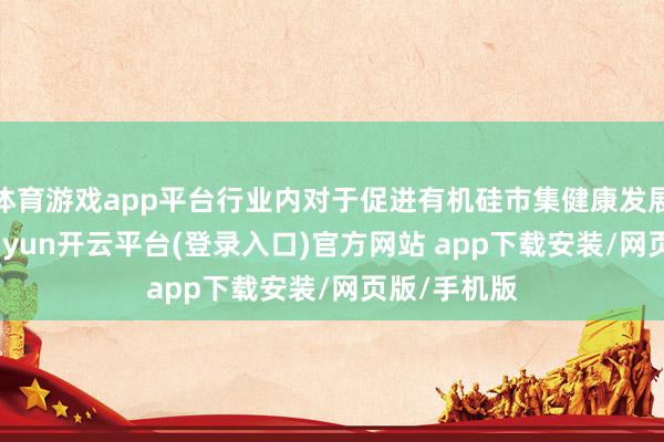 体育游戏app平台行业内对于促进有机硅市集健康发展的狡计-kaiyun开云平台(登录入口)官方网站 app下载安装/网页版/手机版